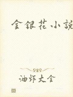金银花小说乐可