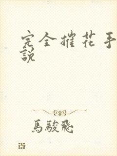 完全摧花手册小说