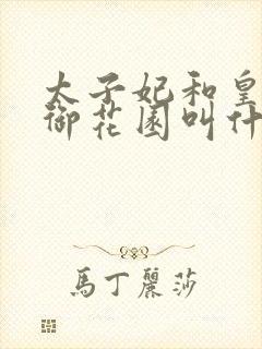 太子妃和皇帝在御花园叫什么小说