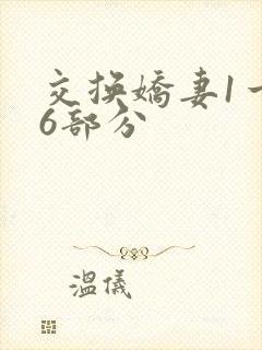 交换娇妻1一36部分
