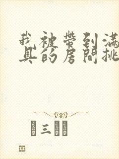 我被带到满是玩具的房间挑调作文