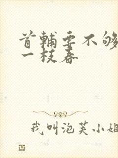 首辅要不够po一枝春