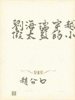 刘海瑞穿越后宫假太监的小说