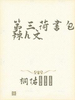 第三荷书包网高辣h文