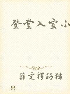 登堂入室小说