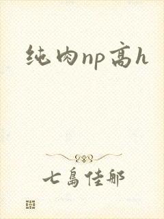 纯肉np高h