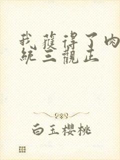 我获得了肉禽系统三观正