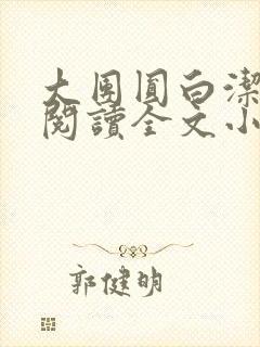 大团圆白洁免费阅读全文小说