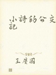 小诗的公交车日记