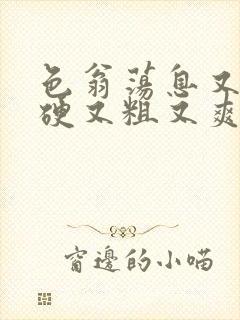 色翁荡息又大又硬又粗又爽