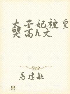 太子妃被皇上c哭高h文