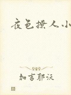 夜色撩人小说