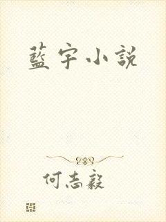 蓝宇小说