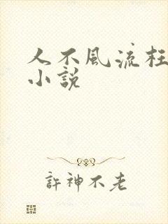 人不风流枉少年小说