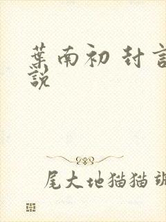 叶南初 封言小说