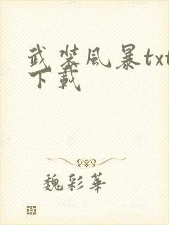 武装风暴txt下载