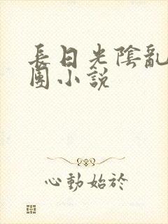 长日光阴乱作一团小说