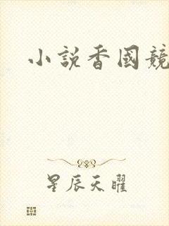 小说香国竞艳