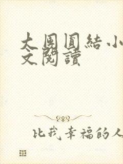 大团圆结小茹全文阅读
