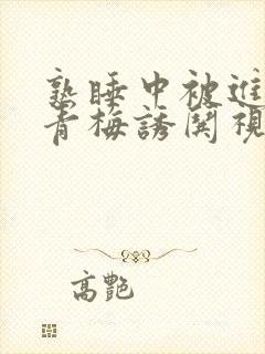 熟睡中被进了H青梅诱哄视频