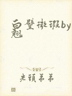 白璧微瑕by连翘