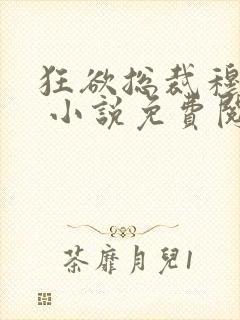 狂欲总裁穆非雪 小说免费阅读