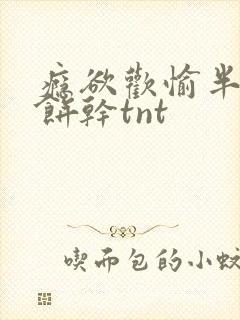 瘾欲欢愉半块小饼干tnt