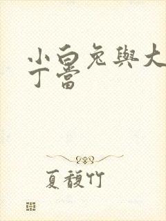 小白兔与大灰狼丁当