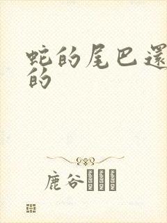 蛇的尾巴还在我的