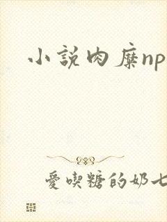 小说肉糜np
