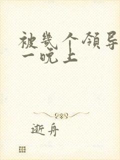 被几个领导玩弄一晚上