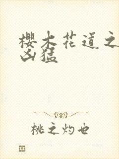 樱木花道之重生凶猛