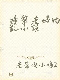撞击老妇肉体之乱小说