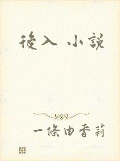 后入 小说