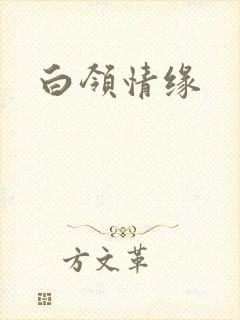 白领情缘