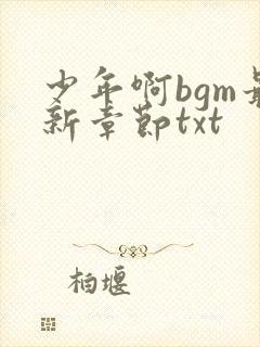 少年啊bgm最新章节txt