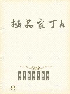 极品家丁h