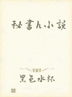 秘书h小说