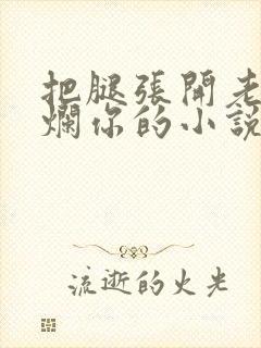 把腿张开老子臊烂你的小说