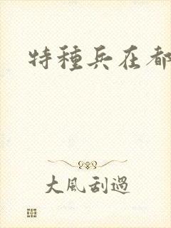 特种兵在都市
