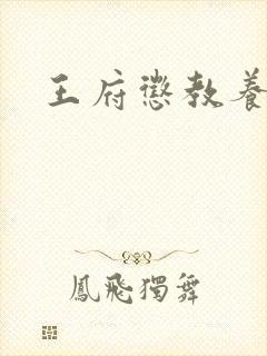 王府惩教养日常