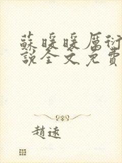 苏暖暖厉衍琛小说全文免费阅读