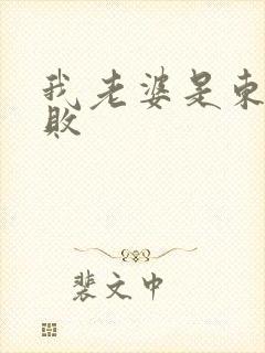 我老婆是东方不败