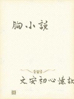 胸小说