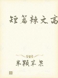 短篇辣文高h
