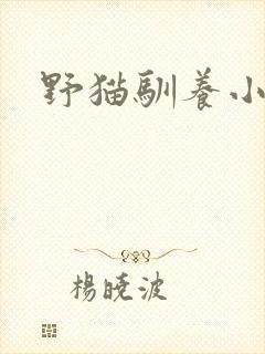 野猫驯养小说