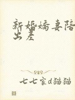 新婚娇妻陪局长出差