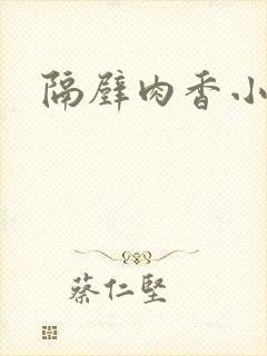 隔壁肉香小说