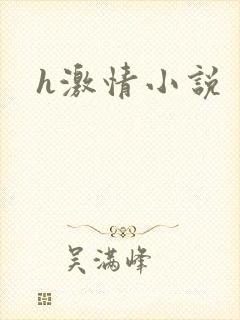h激情小说