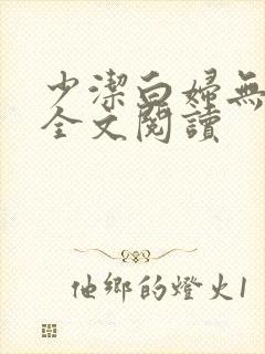 少洁白妇无删减全文阅读